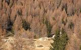 Motoalpinismo in Valtellina - 054